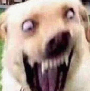 Meet your Posher, Ruthie